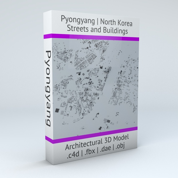 Pyongyang Downtown Area Streets and Buildings Architectural 3D Model