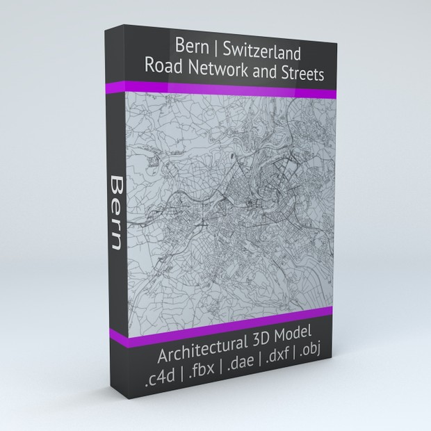 Bern Road Network and Streets Architectural 3D model