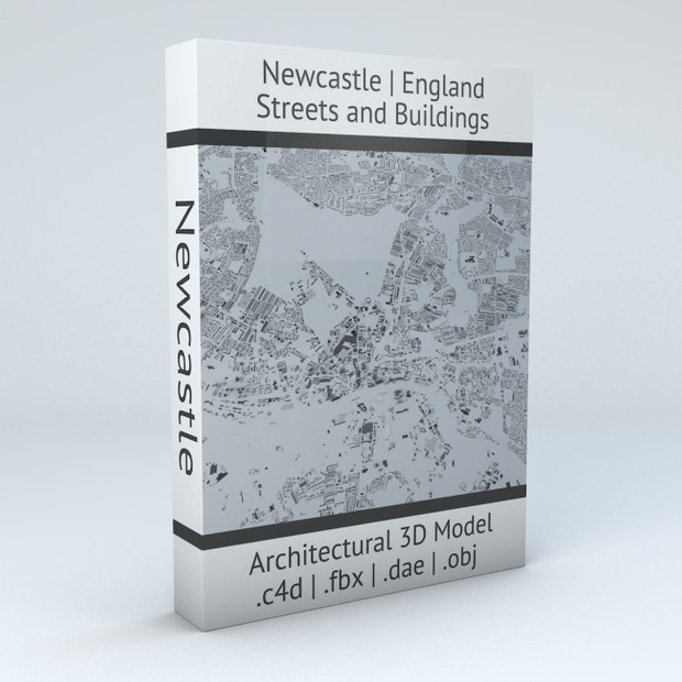 Newcastle Streets and Buildings Architectural 3D Model