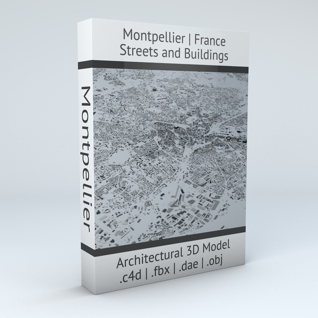 Montpellier Streets and Buildings Architectural 3D Model