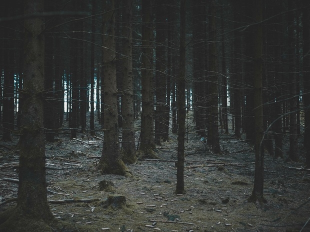 VINTAGE LIGHTROOM PRESET
