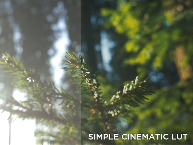 SevenCastStudios Lut Pack - 10 Cinematic Lut's