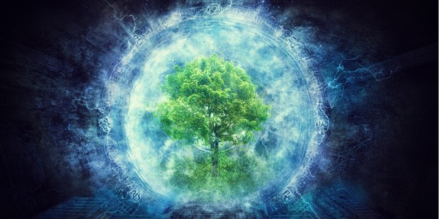 Abosrbing Tree Energy