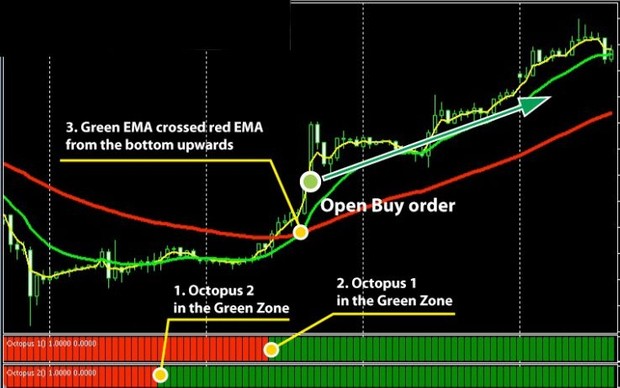 Forex Octopus System MANUAL TRADING SYSTEM MT4