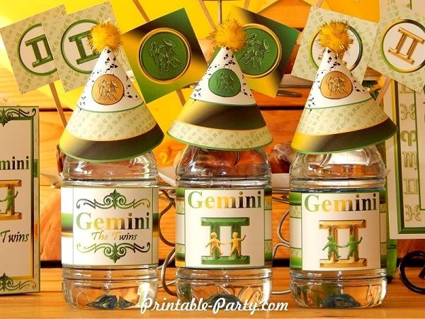 Gemini-zodiac-theme-party-printables-birthday-water-bottle-labels