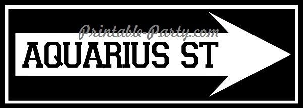 Aquarius St. Right Arrow Signage #2