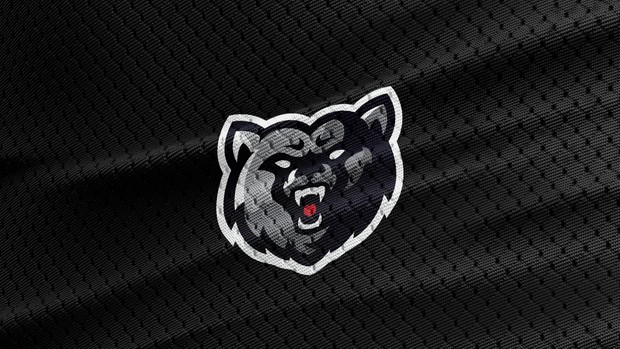 Bear - Mascot, Sporty, eSports Logo!