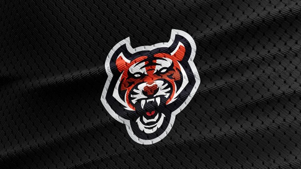 Tiger - Mascot, Sporty, eSports Logo!