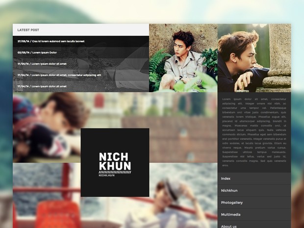 WordPress / Premium Theme #03