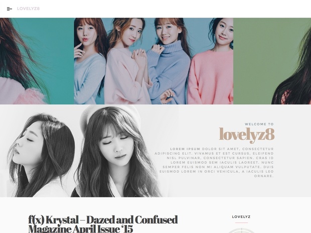 WordPress / Premium Theme #11