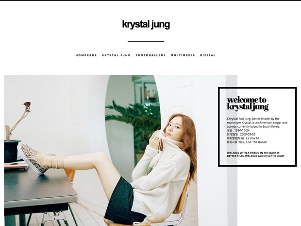 WordPress / Premium Theme #08