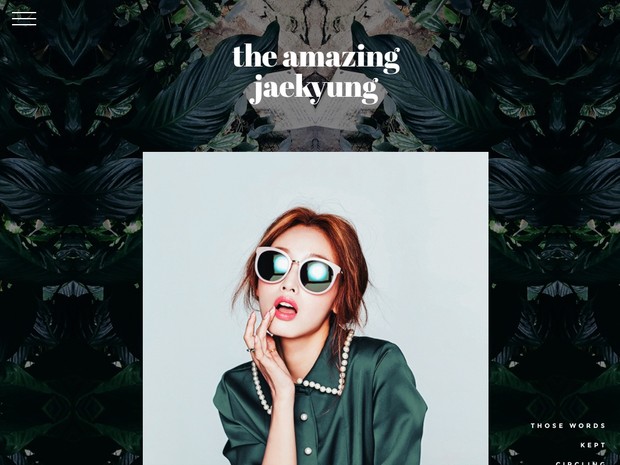 WordPress / Premium Theme #13