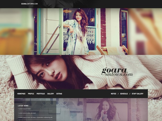 WordPress / Premium Theme #02