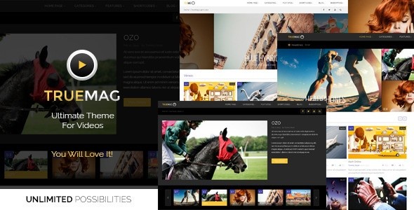 Theme TrueMagv-4.2.6