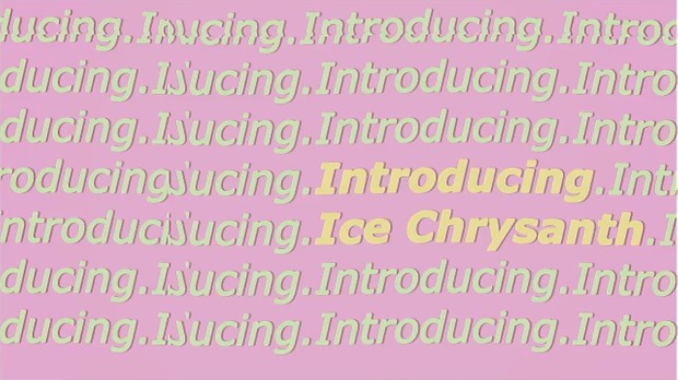 Introducing Ice Chrysanth