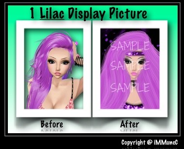 1 Lilac Display Picture