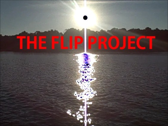 THE FLIP PROJECT