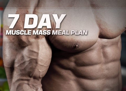 MASS BUILDER - 3200 kcal (7 DAY MEAL PLAN)