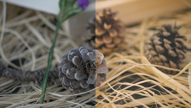 WEDDING LUT PACKAGE PRESENTATION PACK (Lut + Lightroom Preset)