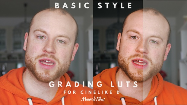 BASIC/STYLE LUTS Panasonic