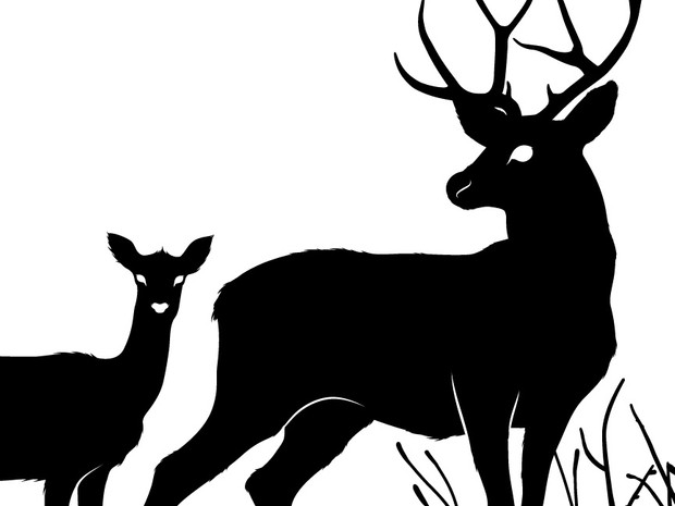 Deers and fawns silhouettes