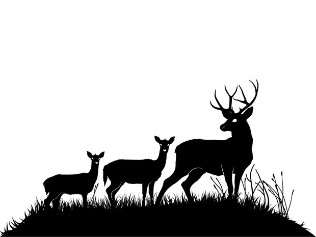 Deers and fawns silhouettes