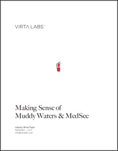 White Paper: Making Sense of Muddy Waters & MedSec