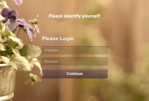 Custom Login Form for Domino Server