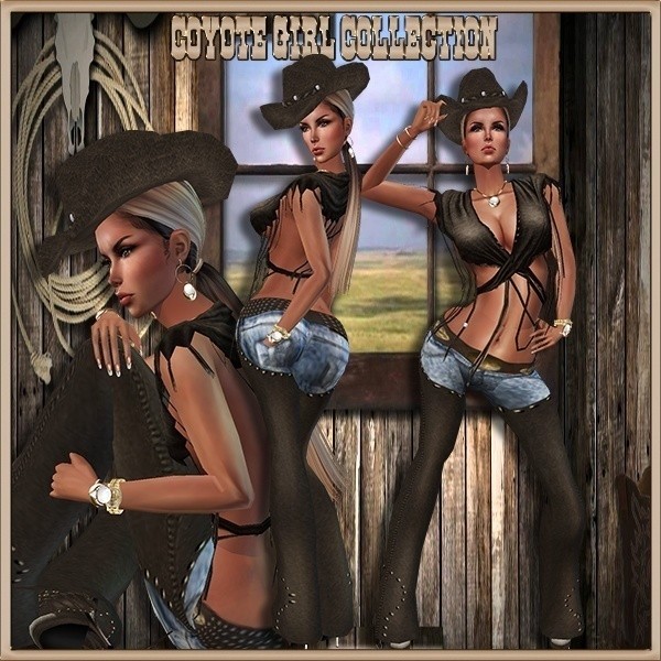 Coyote Girl Collections