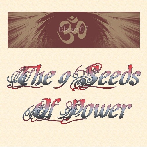 The 9 Seeds Of Power