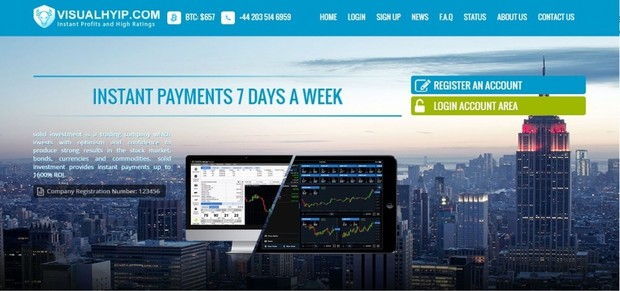 Hyip Premium Template 2 ( GoldCoders )