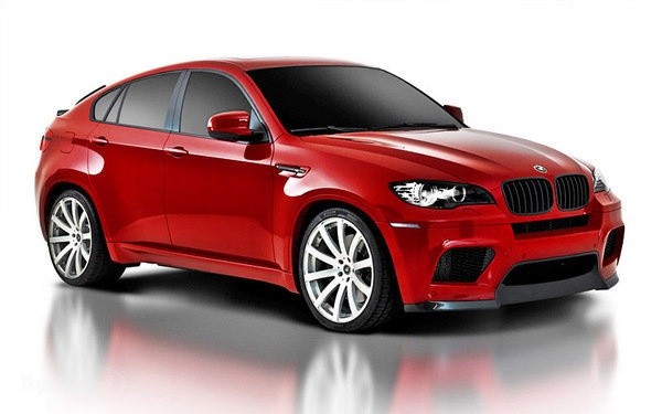 Bmw X6 2010 Repair Manual