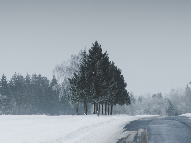 CMG VINTAGE LIGHTROOM PRESET