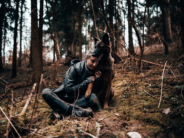 FOREST | Lightroom Presets