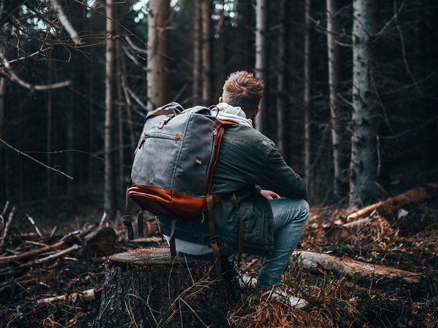 FOREST | Lightroom Presets