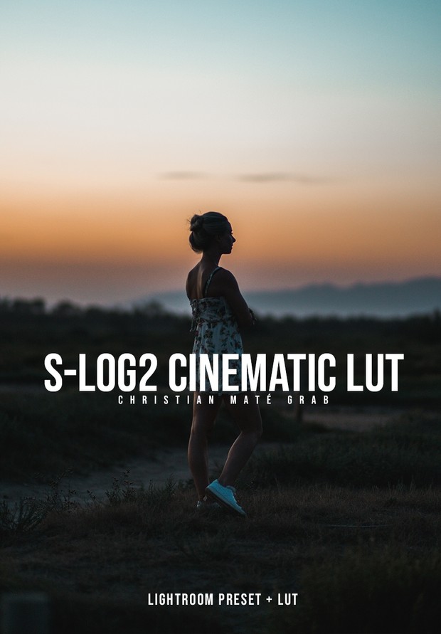Log