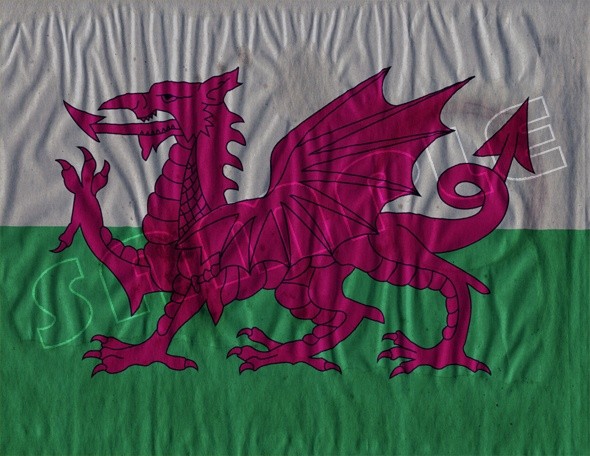 Welsh Flag