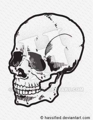 Skull 3