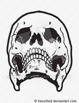 Skull 6