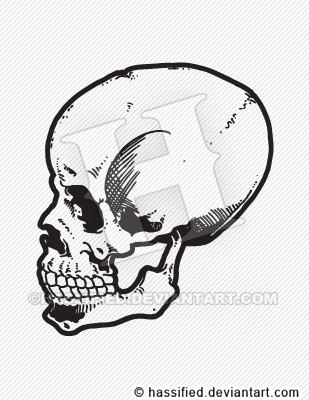 Skull 5