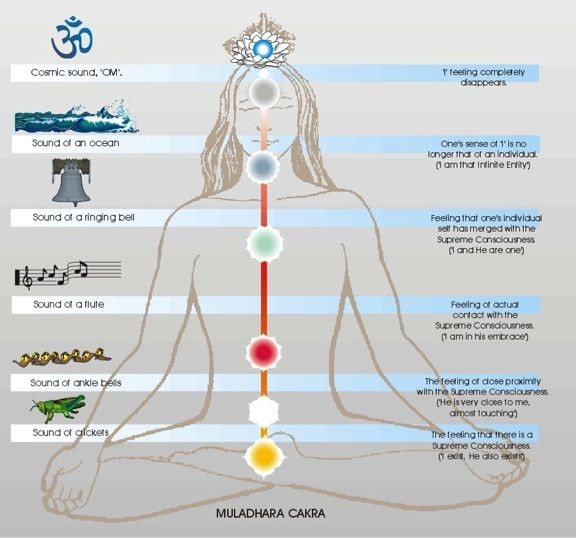 Cakras and the Body-Mind Relationship