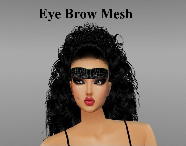 Eye Brow Mesh