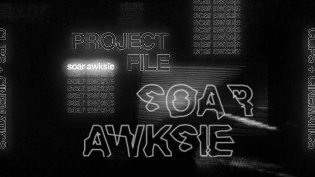 SoaR Awksie