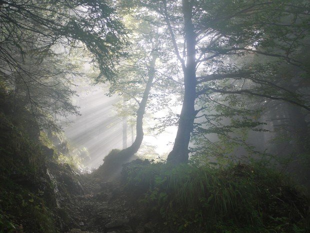 Ascending the Vale