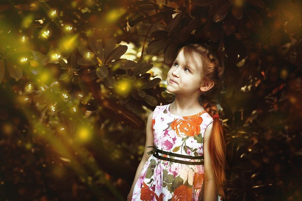 Fireflies and Stardust