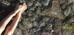 On the Beach in Spanish Room short fiction single (Janis Spence)
