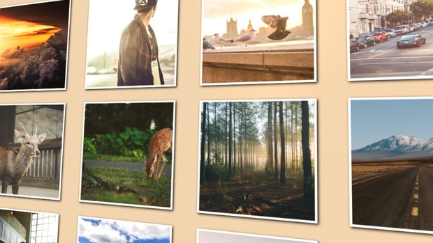 Template Photo Wall Gallery sony vegas 12 13