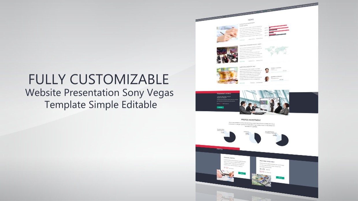 Sony shockwave presentation essay 08 picture