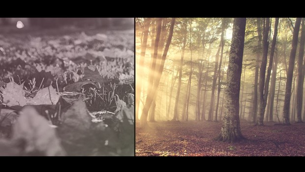 Template Smooth Slideshow Opner sony vegas 11 12 13