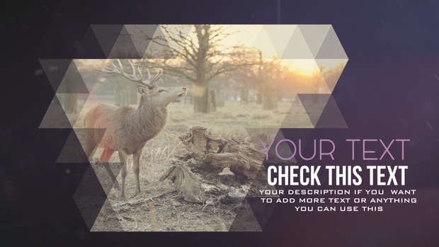 Template Media Triangle Slideshow sony vegas 12 13
